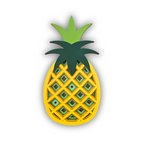 Ananas - Œuvre d'art originale de Tzachi Nevo